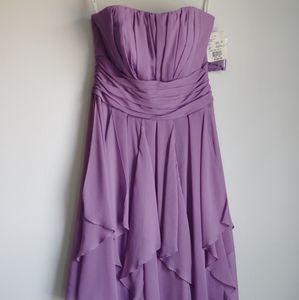 David's Bridal Wister Bridesmade dress